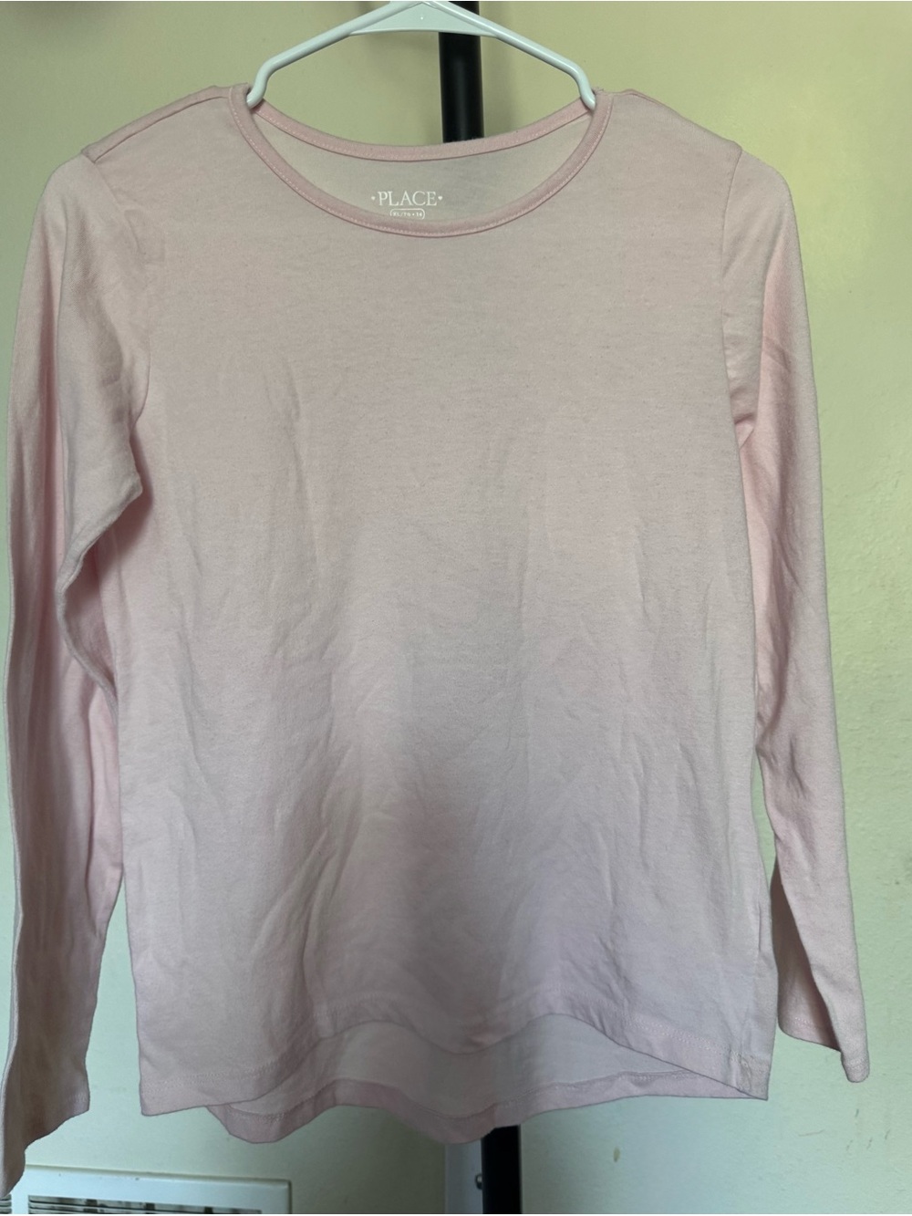 Place Long Sleeve Crewneck Tee in Light Pink